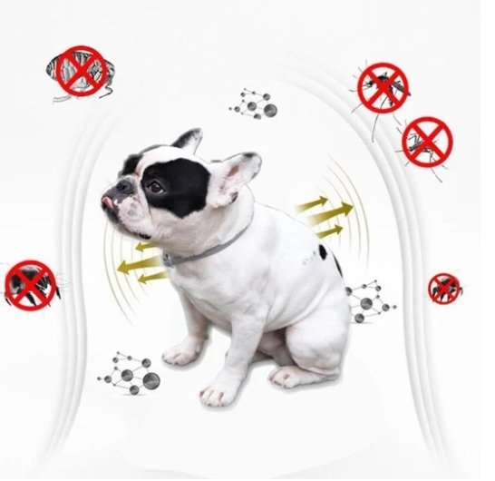 Exterminador Pro De Pulgas y Garrapatas - technopromosTecnopromosExterminador Pro De Pulgas y Garrapatas - Tecnopromos