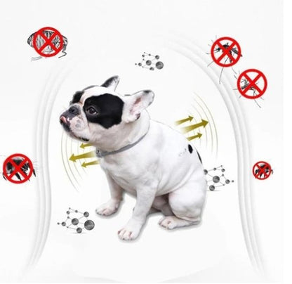 Exterminador Pro De Pulgas y Garrapatas - technopromosTecnopromosExterminador Pro De Pulgas y Garrapatas - Tecnopromos